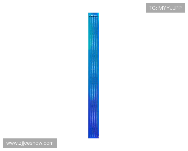 临澧足球明星最新名单揭晓球员实力与成就全面分析